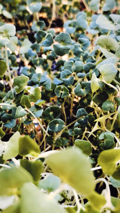 Item #112023108605601249318065536302410732767173682366592262667857165194075033305090 Media