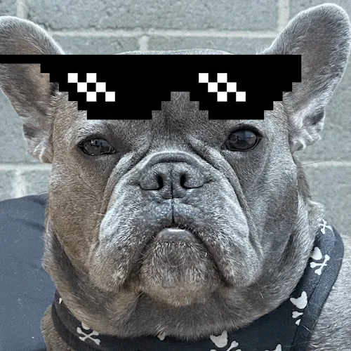 46411560948661286545070619224965188155539887691399550418899020295264188497921