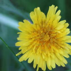 51124555051901614330264480006545612592022390906904121289505624499736562106369