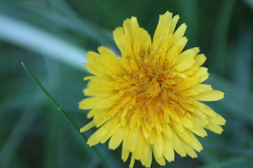 Item #51124555051901614330264480006545612592022390906904121289505624499736562106369 Media