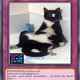 83844637491225668114409918894944127251895376445716739204507805921013026258945
