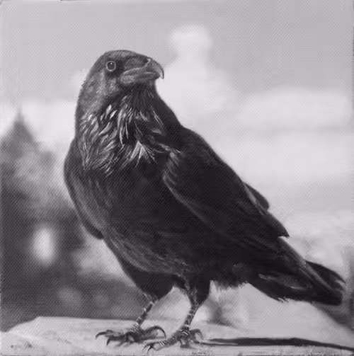 Item #99310313054606669914497555291896311169483140837282846961357348923701421146113 Media