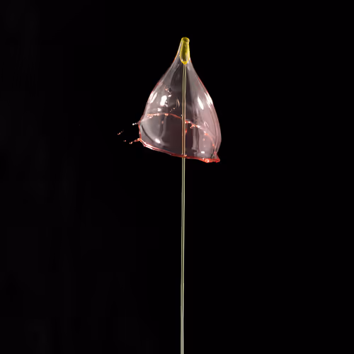 Item #93843816189578981246560604655943518308185846623120940061859981512321661927425 Media