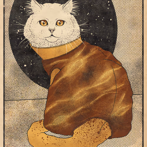 Space cat - Venus