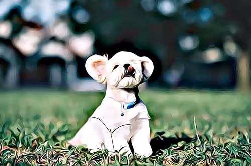 Item #21607923784025543658024067331009769919395041958272689574271021157345273053185 Media