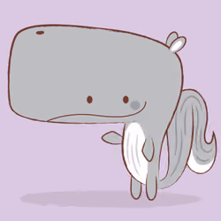 Sqwhale