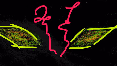 Item #27351542864513164794326374510732801896318468717418541152887641318939766554625 Media