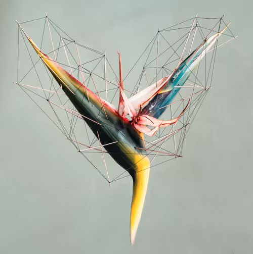 Item #33326098951146265566508462431134290695293307904352901538916508147272600518657 Media