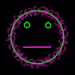 1Flamepinkgrass