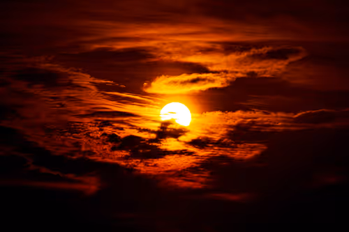 Item #36996943031330878908179400249614479355008528857221484204440702358003245907978 Media