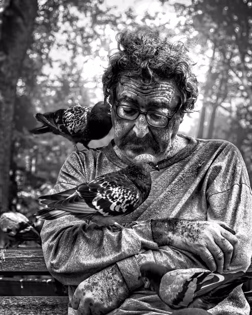 Item #20227266665588933887433646525944193582214398073362210482920990804059447361537 Media