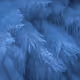 Fragments of Jotunheim
