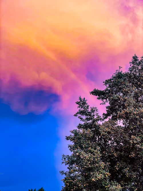 Item #19706736647229879656822454132754720829342414100240411727761358925538722316289 Media