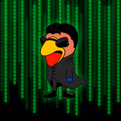 birdnard #1100