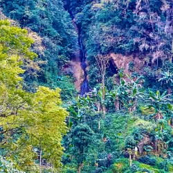 Natural Spring