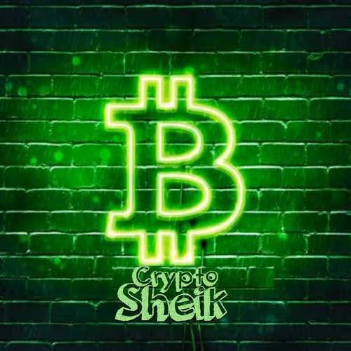 Untitled Collection #11894232