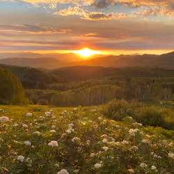 Sunset 