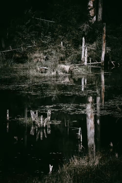 Item #46709965239587215851558087466762379659612403751449934923508460082506456104961 Media