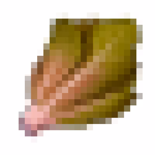 Item #45402188041161711857602650062681477606660445235074565517026972926418540822529 Media