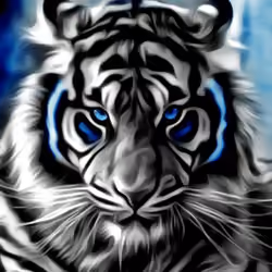 White Tiger