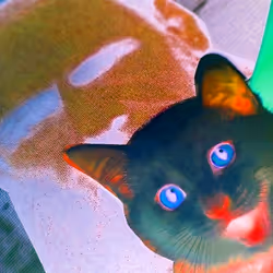 4747115153065902387790593868107453782499677024781155622119189981805334757377