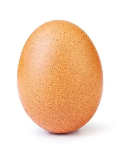 The EGG