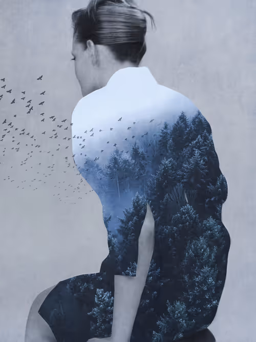 Item #56237005650679827208422272941338028549111287741661461515168449834585518243843 Media