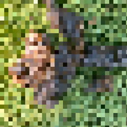 2850415134272365380187775685678842410458265265709128331682257588739142320129