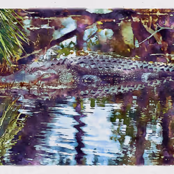 55704534837685659622621715309832868758345944585427688586690141413564831760385