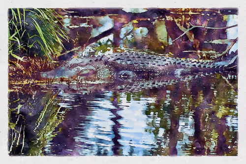 Item #55704534837685659622621715309832868758345944585427688586690141413564831760385 Media