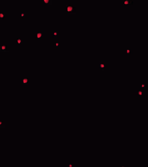 Item #10484220177787847593598212314025342284599195293512380793508438397125834833921 Media