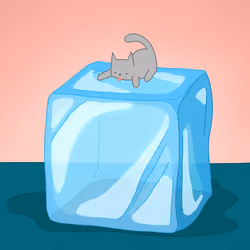 Cat on Ice Cube 007