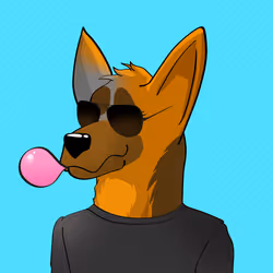 BNDog 593
