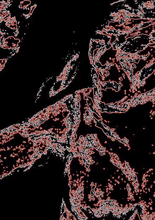 Item #36131591759955709086083191195456579625840556261365806407054940433163720065027 Media