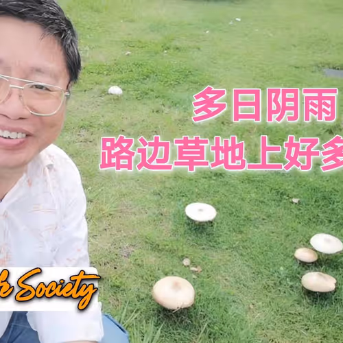 35812598071007472883499807104650621409996597292044812776198771480907049074689