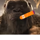 101626674986738009003090654945136307884700197198675707360080613991618650832897