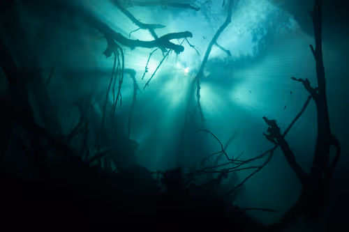 Item #25422583313571458459737529461820134862175223810011730482418987934338630287361 Media