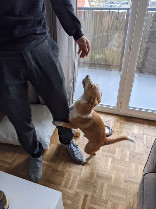 Item #52943002070137595770109926967922484843440539879265337680092762550465275625473 Media