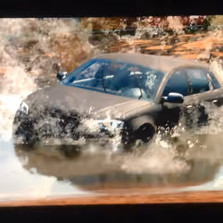 Forza Art