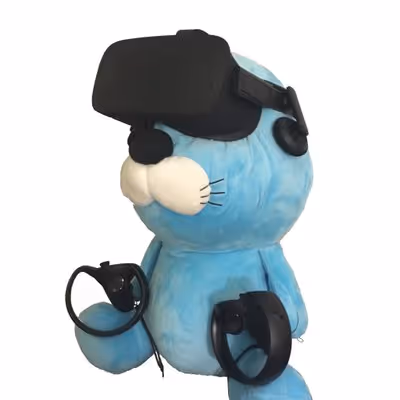 VR_BNBN
