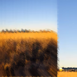 MAYBEMARFA_0018