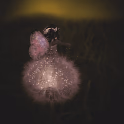 The Wishing Plant Fairy