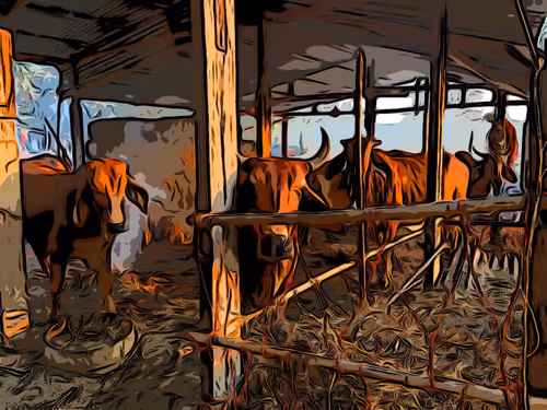 Item #81269833061274051173789884418282317830923519221172308843662164477972538458113 Media