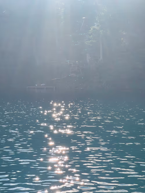 Item #52197703647320946928390201527763042732977649940330115244759832399516211871745 Media