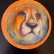 62165043707762385920650873546909238486153508918776337730050171745721089261569