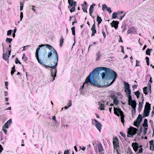 Item #13655688939135100874137865822286963285848178287002064785741775633199210168321 Media