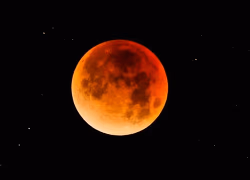 Item #52575804303161794449600573564715429190343404046060487203977302140106552901633 Media