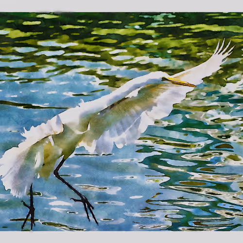 55704534837685659622621715309832868758345944585427688586690141437754087571457