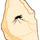 100632816479193538947255079892736249932619251907697492811052459347052532334593