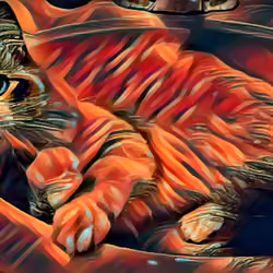 Cozy Kitty #2